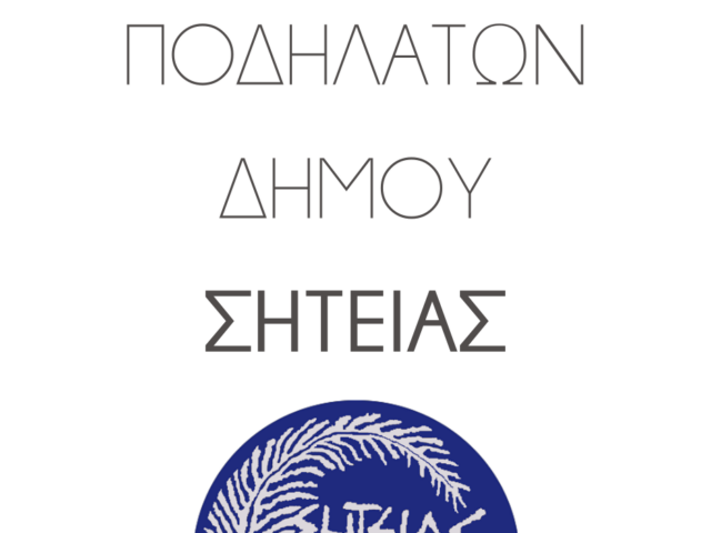 ΕΝΙΣΧΥΣΗ ΤΗΣ ΜΙΚΡΟΚΙΝΗΤΙΚΟΤΗΤΑΣ - ΗΛΕΚΤΡΙΚΑ ΠΟΔΗΛΑΤΑ